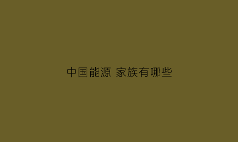 中国能源 家族有哪些